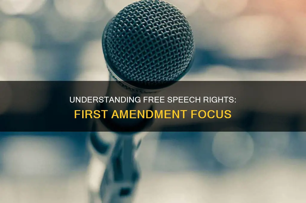 what constitutes free speech under the first amendment