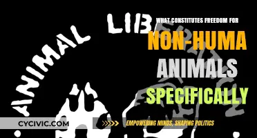 Animals' Freedom: What Does It Really Mean?