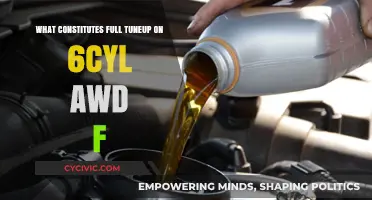 Full Tune-up: 6-Cyl AWD F Engine