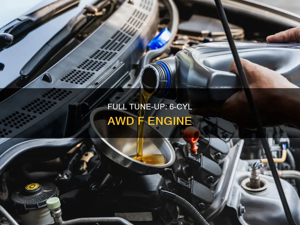 what constitutes full tuneup on 6cyl awd f