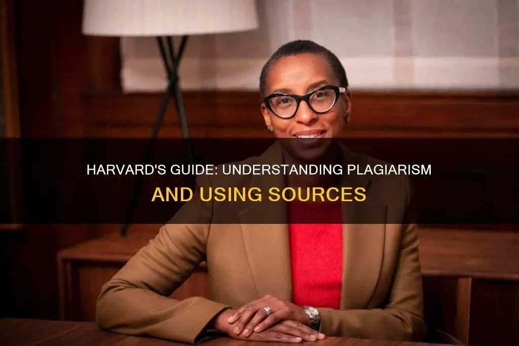 what constitutes glagiarsim harvard guide to using sources