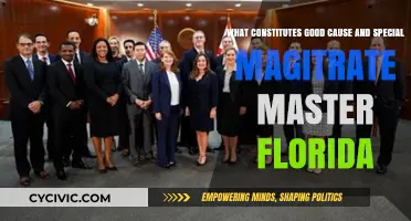 Understanding Florida's Special Magistrate Master Appointments