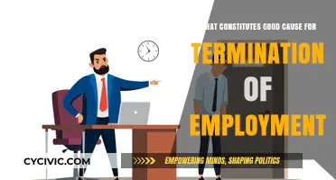 Understanding Valid Reasons for Termination of Employment