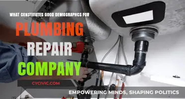 Plumbing Repair: Targeting the Right Customers