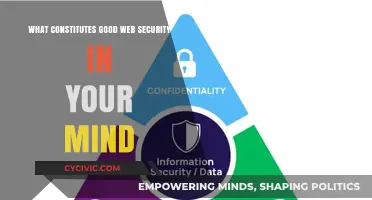 Web Security: Protecting Your Digital Front Door