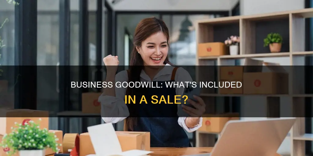 what constitutes good will for sale of business