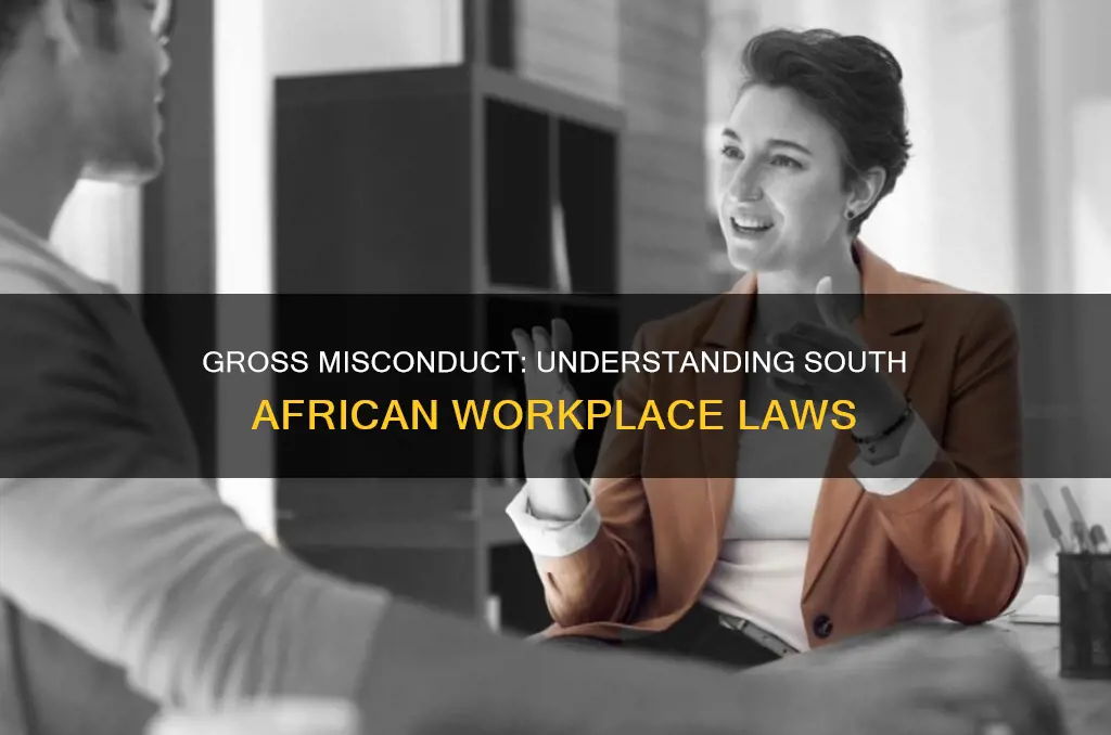 what constitutes gross misconduct at work in south africa