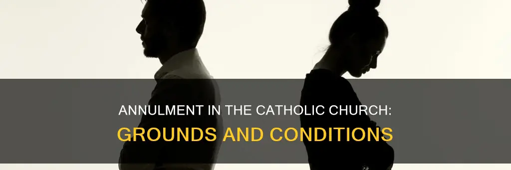 what constitutes grounds for annulment in the catholic church