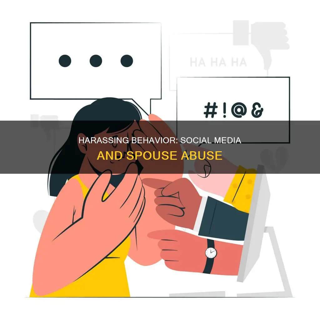 what constitutes harassing behavior from spouse on social media