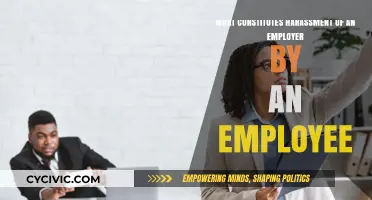 Employee Harassment of Employers: What's the Red Line?