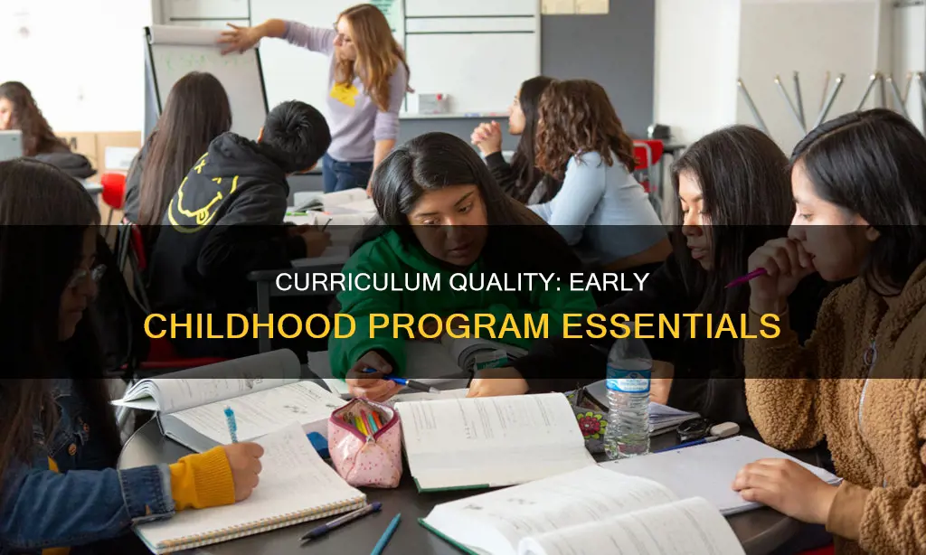 what constitutes high quality effective curriculum in early childhood programs