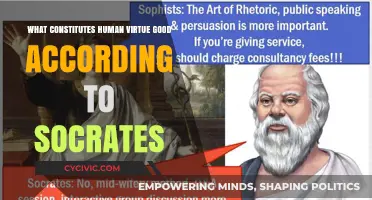 Socrates' View: What Makes Human Virtue Truly Good?