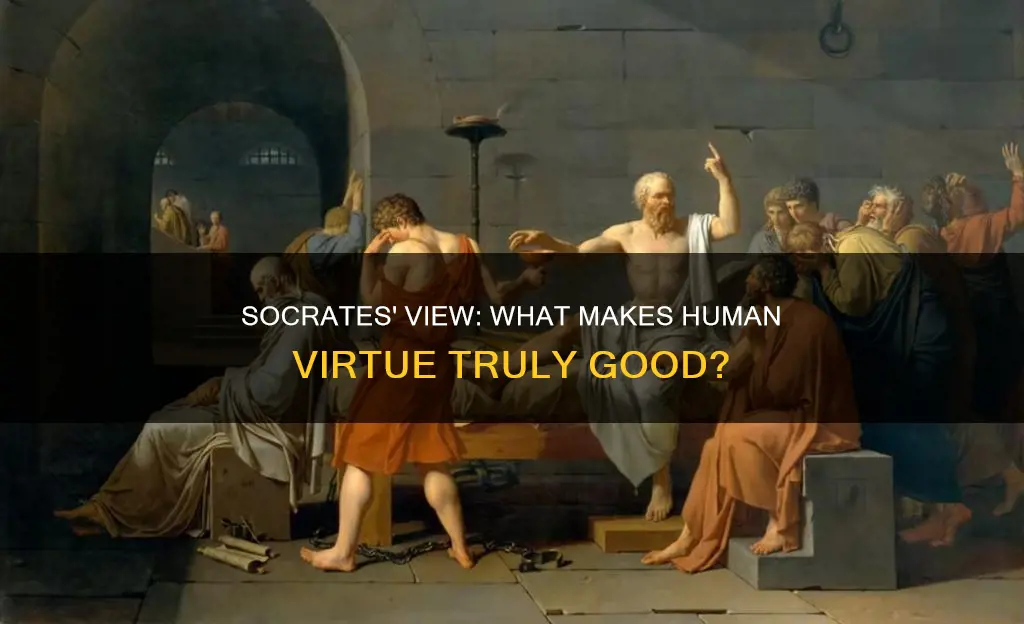 what constitutes human virtue good according to socrates