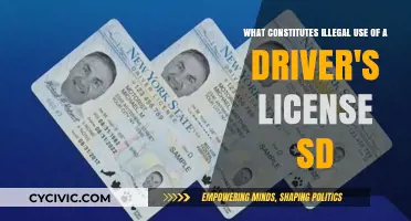 Driver's License SD: What's Legal and What's Not