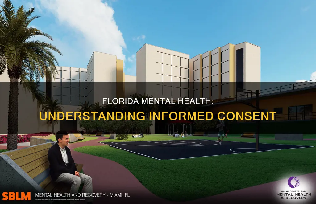 what constitutes informed consent in florida mental health