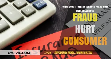 Insurance Fraud: Impact and Definition