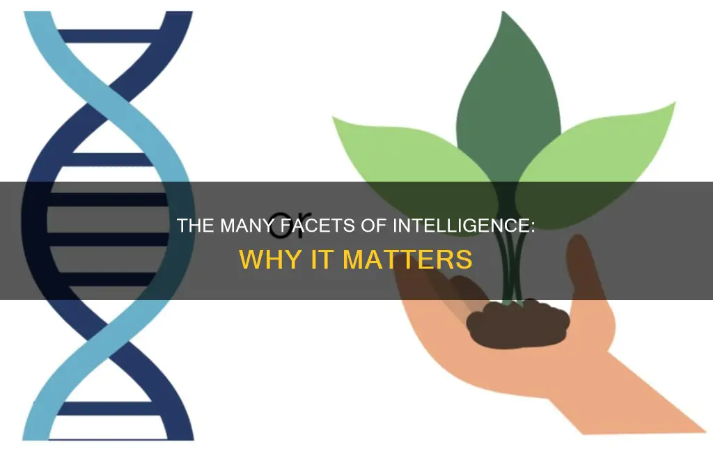 what constitutes intelligence and why should we care