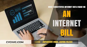 Understanding Your Internet Bill Data Usage Charges