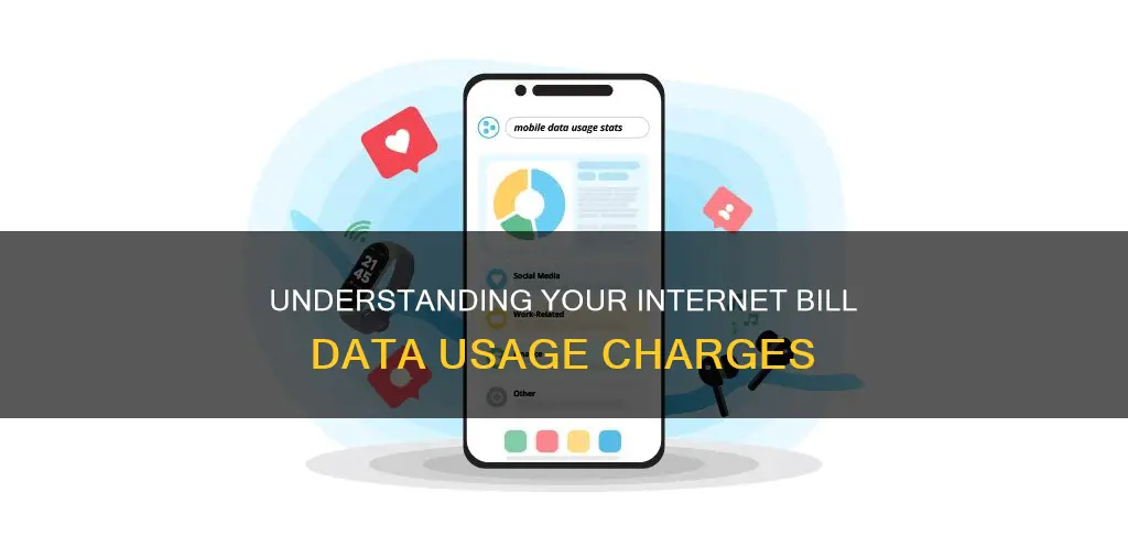 what constitutes internet data usage on an internet bill