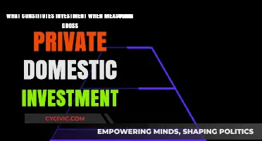 Understanding Private Investment: What Counts and Why?