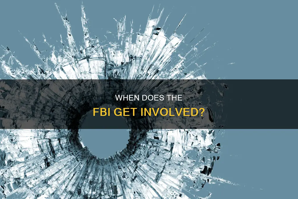what constitutes involving the fbi into an investagation