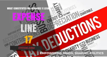 Understanding Legal Expenses: Schedule C, Line 17