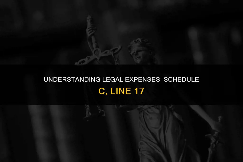 what constitutes irs schedule c legal expense line 17