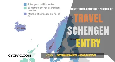 Schengen Travel: Justifiable Purposes for Entry