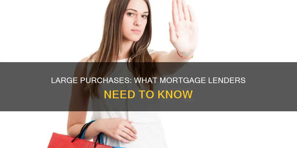 what constitutes large purchase when applying for a mortgage
