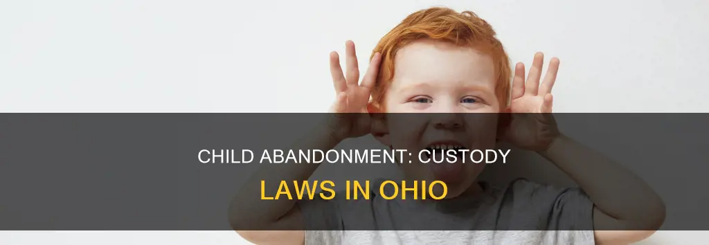 what constitutes legal child abandonment for custody in ohio