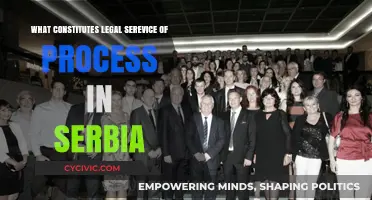 Service of Process in Serbia: What's Legal?