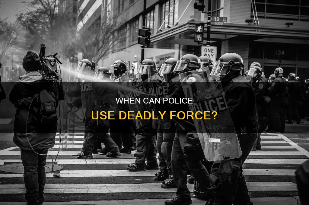 what constitutes legal use of deadly police force