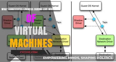 Liveness and Live Migration: Defining Virtual Machine Uptime