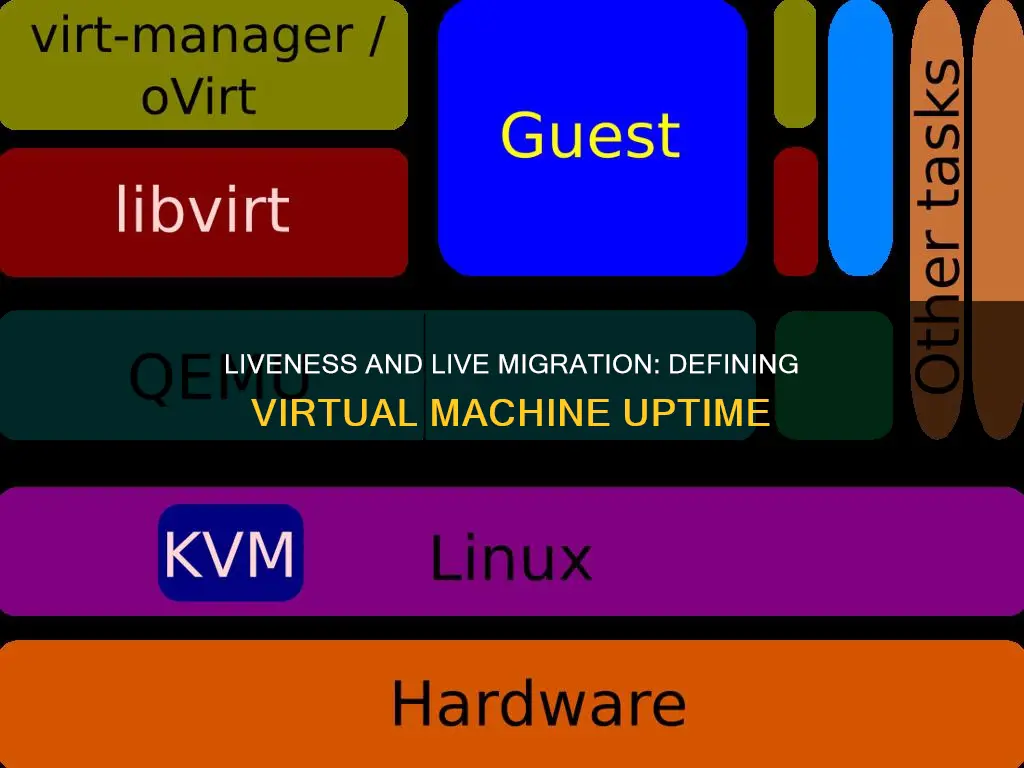 what constitutes liveness during live migration of virtual machines