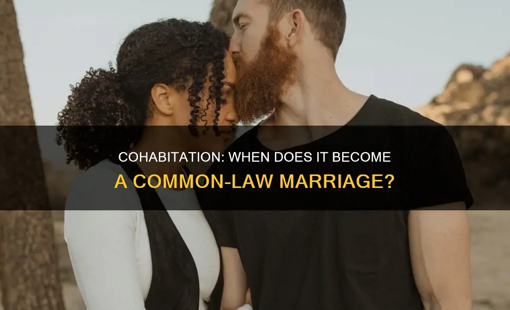 what constitutes living together as husband and wife