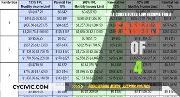 How Much is Enough for a Family of Four?