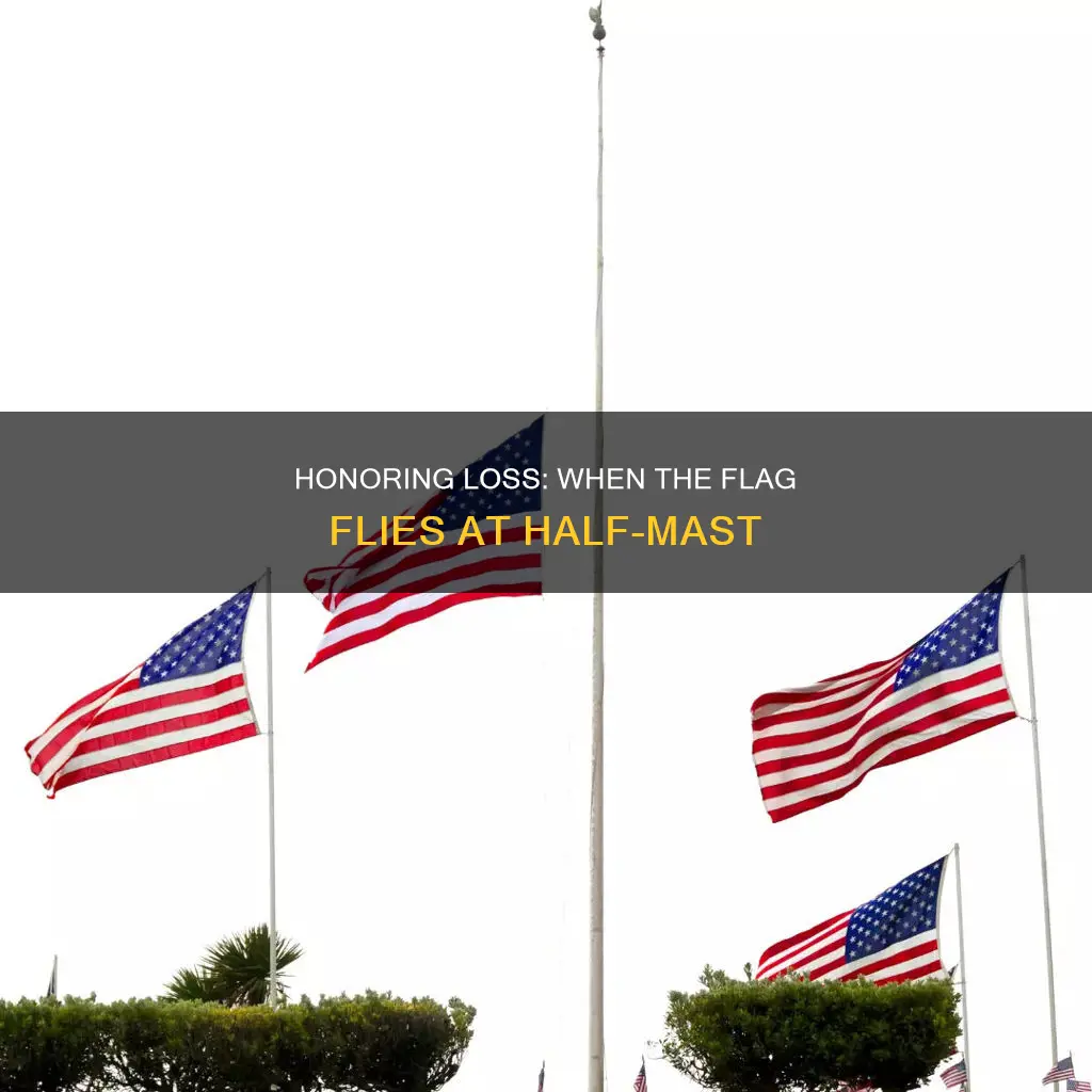 what constitutes lowering the flag to half-mast