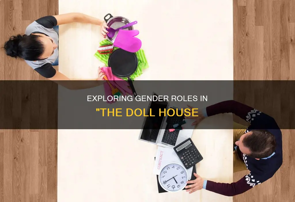 what constitutes masculinity and femininity in the doll house