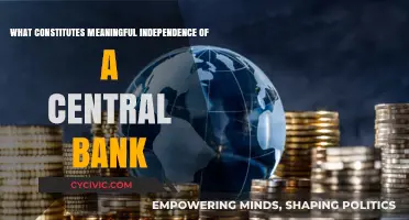 Central Bank Independence: Meaningful Autonomy Explored