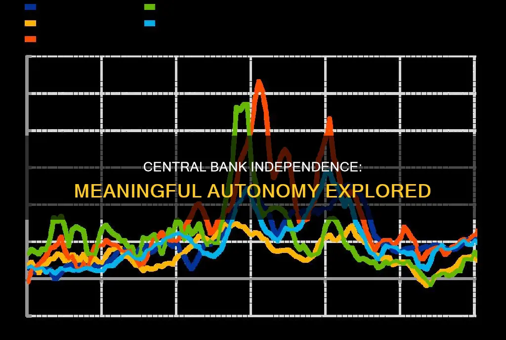what constitutes meaningful independence of a central bank