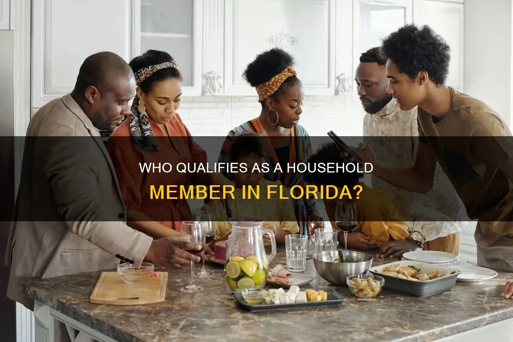what constitutes members of a household in fl