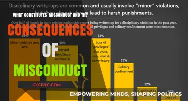 Misconduct: Understanding Actions and Their Repercussions