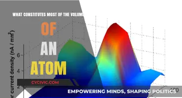 The Vast Emptiness Within Atoms