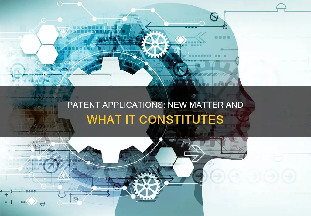 what constitutes new matter in a patent application