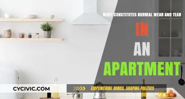 Understanding Apartment Wear and Tear: What's Normal?