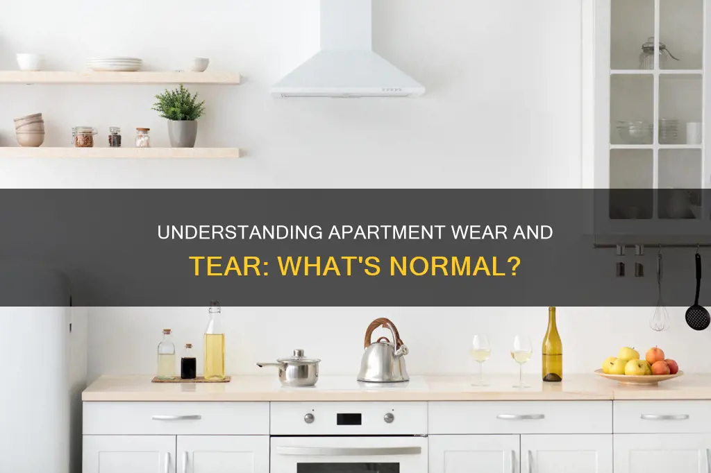 what constitutes normal wear and tear in an apartment