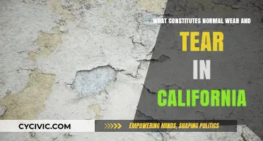 Understanding Normal Wear and Tear in California