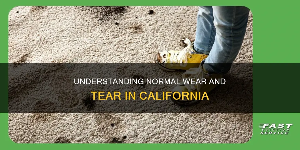 what constitutes normal wear and tear in california