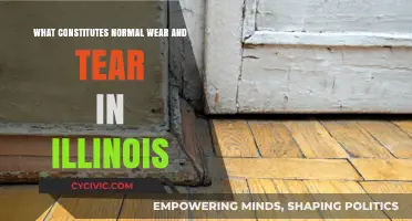 Illinois Landlords: Understanding Wear and Tear