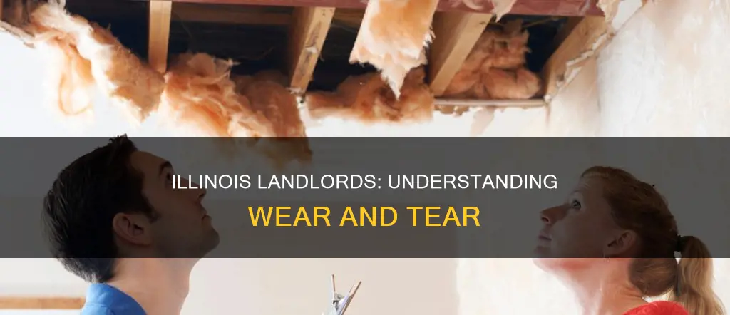 what constitutes normal wear and tear in illinois